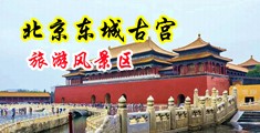 炮机虐逼屁眼轮奸中国北京-东城古宫旅游风景区